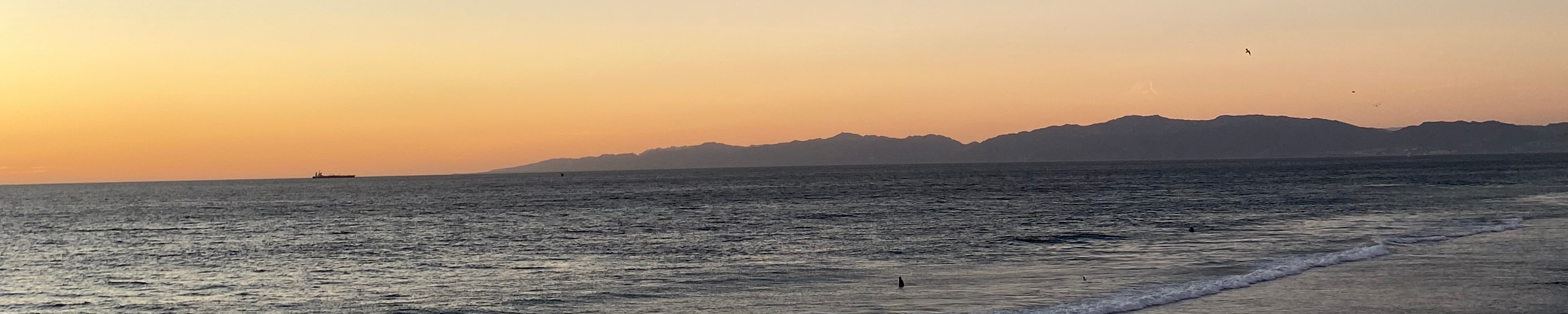 Cover Photo