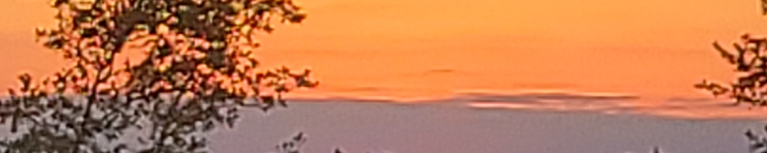 Cover Photo