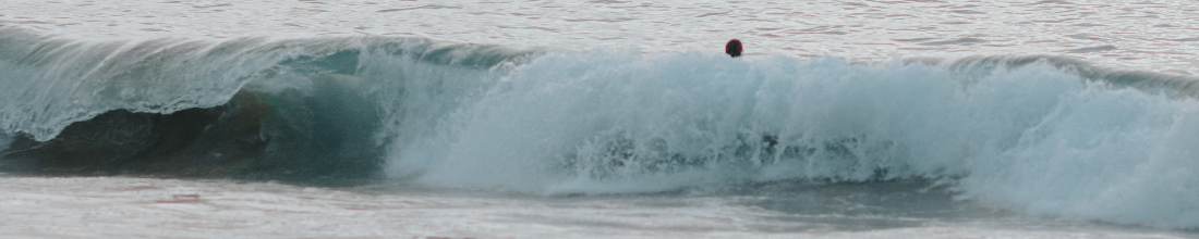Cover Photo