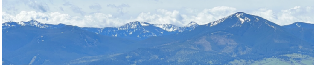 Cover Photo