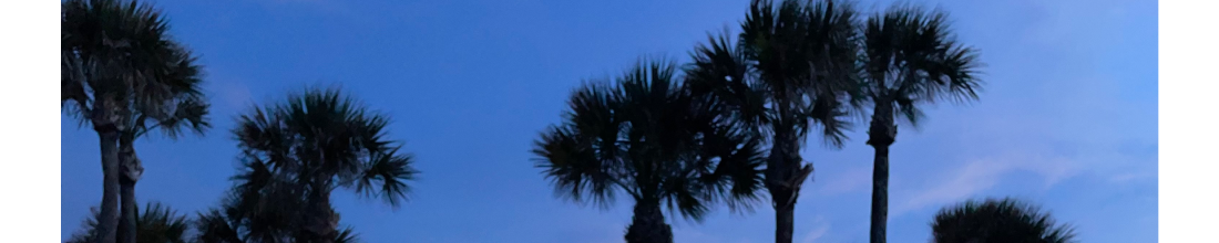 Cover Photo