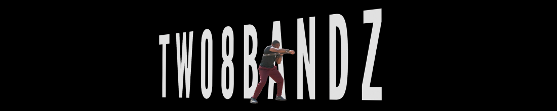 Two8 Bandz cover photo