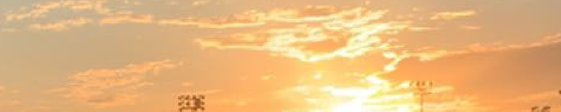 Cover Photo