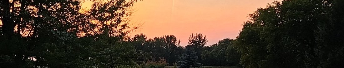 Cover Photo