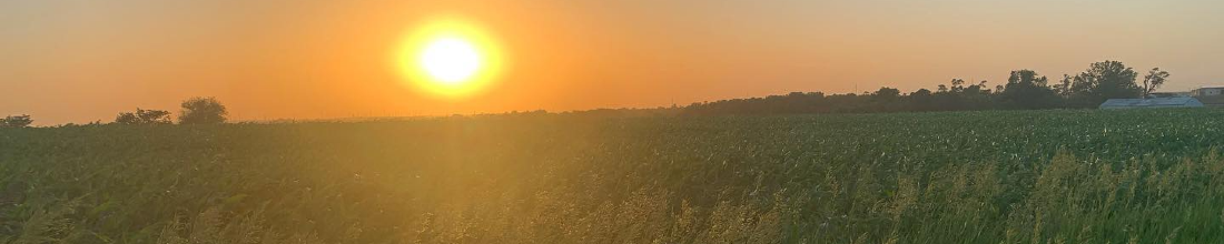 Cover Photo