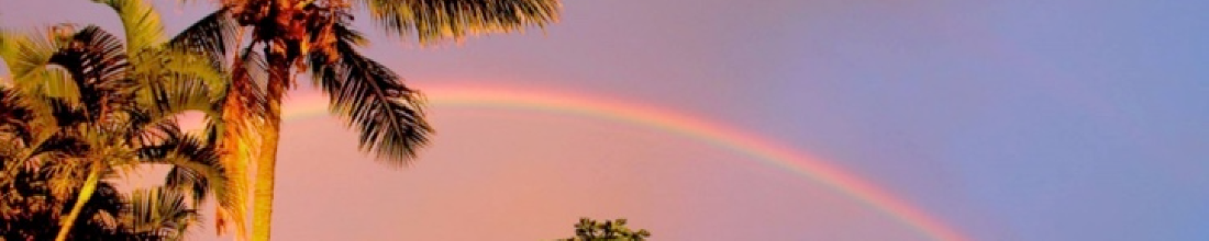 Cover Photo