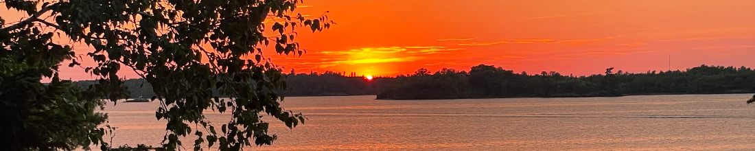Cover Photo