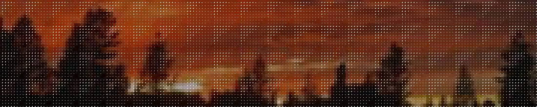 Cover Photo