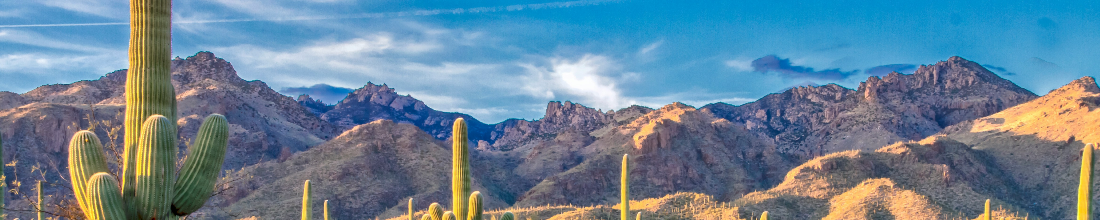 Cover Photo