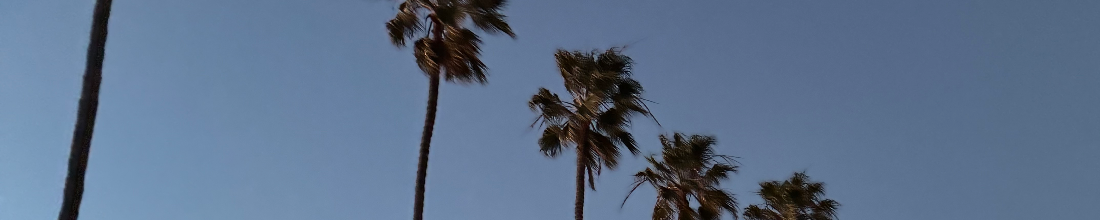 Cover Photo