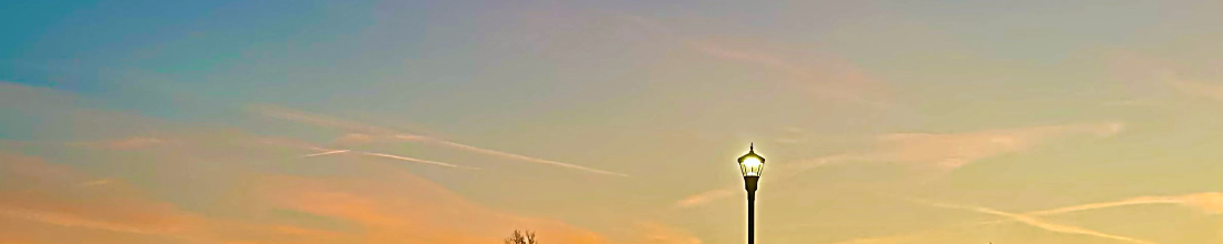 Cover Photo
