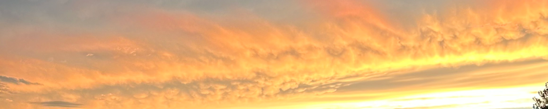 Cover Photo
