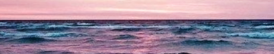 Cover Photo