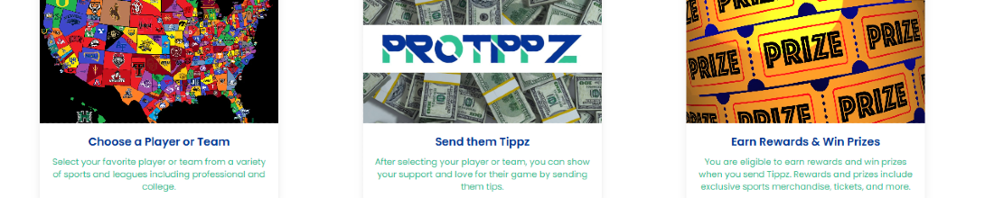PROTIPPZ - Bridging the income gap in women/men sports