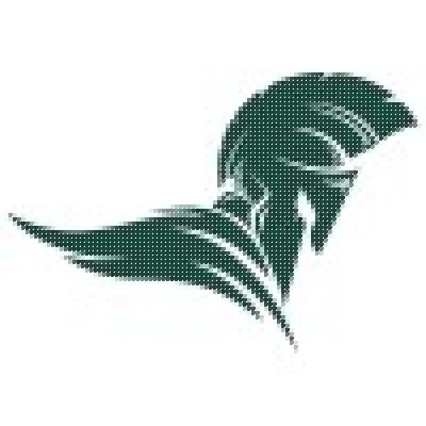 Social media promotion of new daily contest app [INMO]