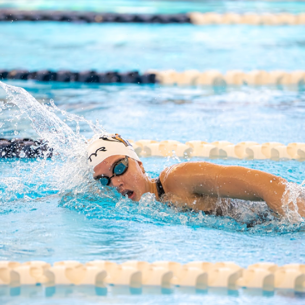 Athlete Profile