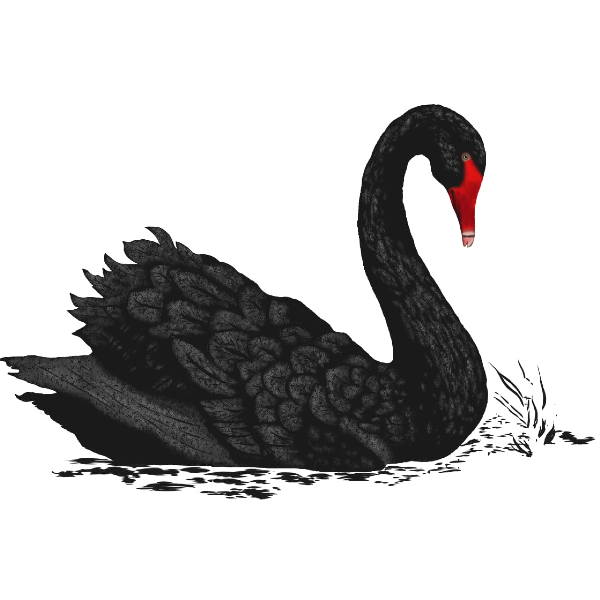 D'Ira Clothing profile picture