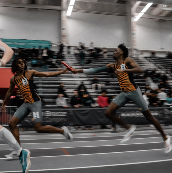 Athlete Profile