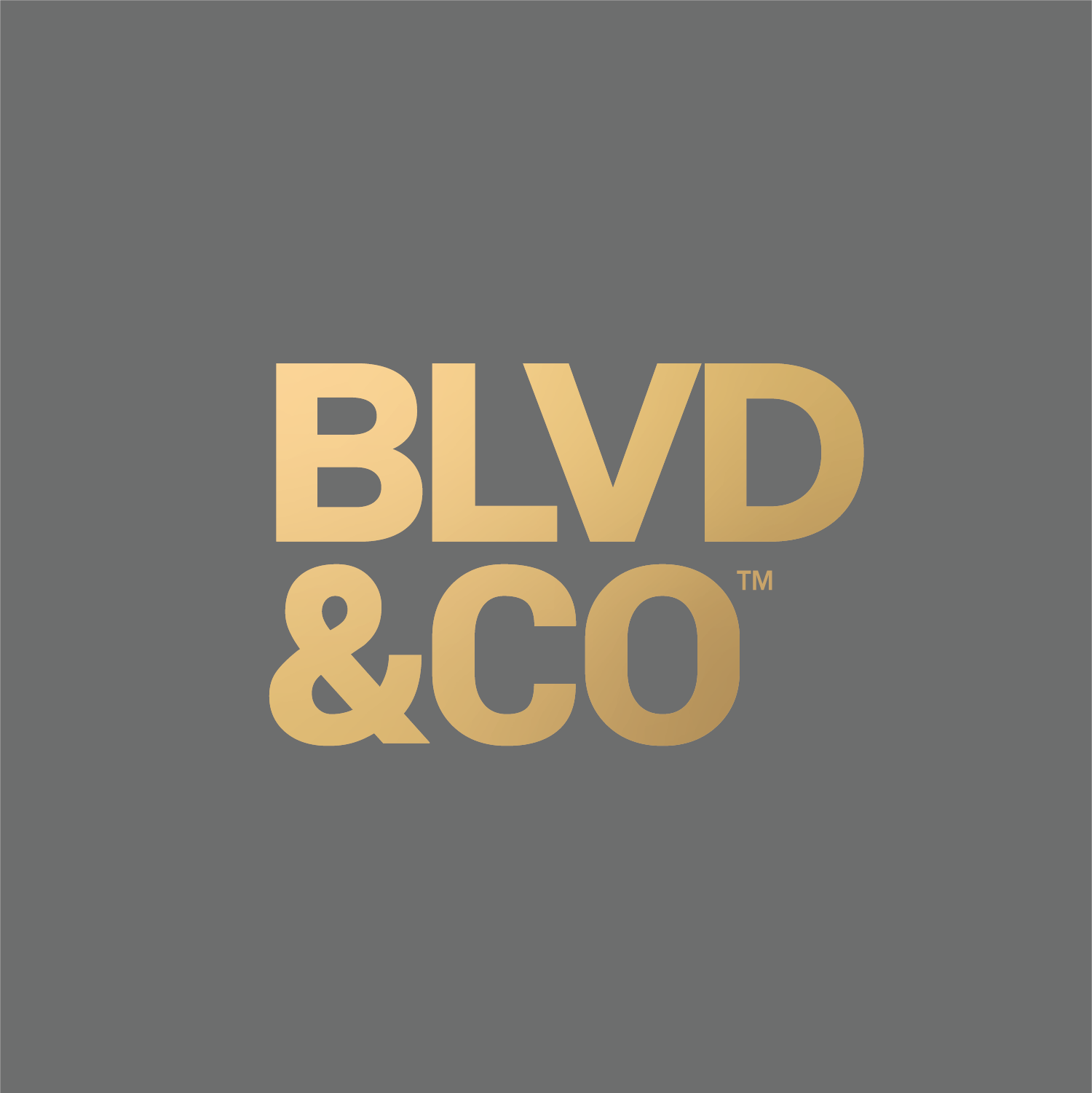 BLVD & CO profile picture