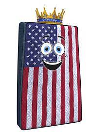 Brand Ambassador + Advertisement (North Dakota State University)